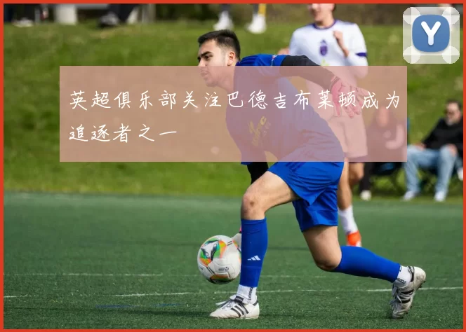 英超俱乐部关注巴德吉布莱顿成为追逐者之一