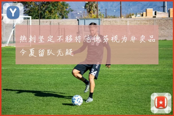 热刺坚定不移将范德芬视为非卖品今夏留队无疑