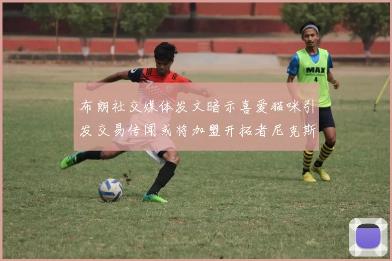 布朗社交媒体发文暗示喜爱猫咪引发交易传闻或将加盟开拓者尼克斯雷霆湖人