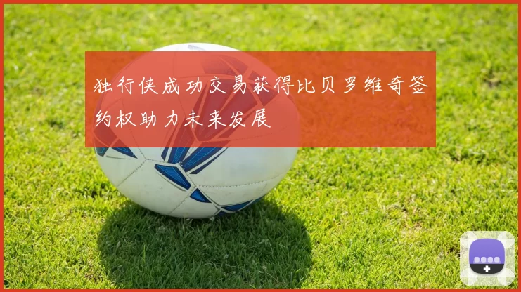 独行侠成功交易获得比贝罗维奇签约权助力未来发展